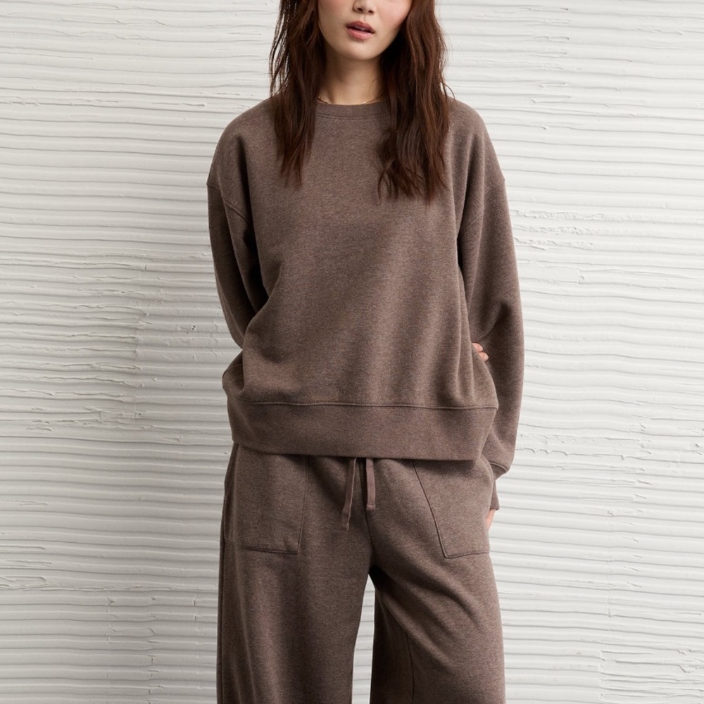 American Eagle Outfitters Brown Cozy Crewneck Sweatshirt